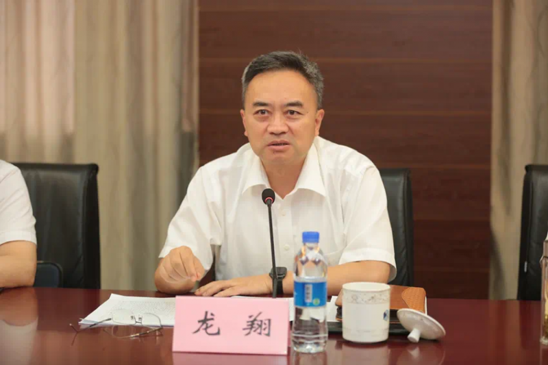全国人大常委会公告，龙翔被免职